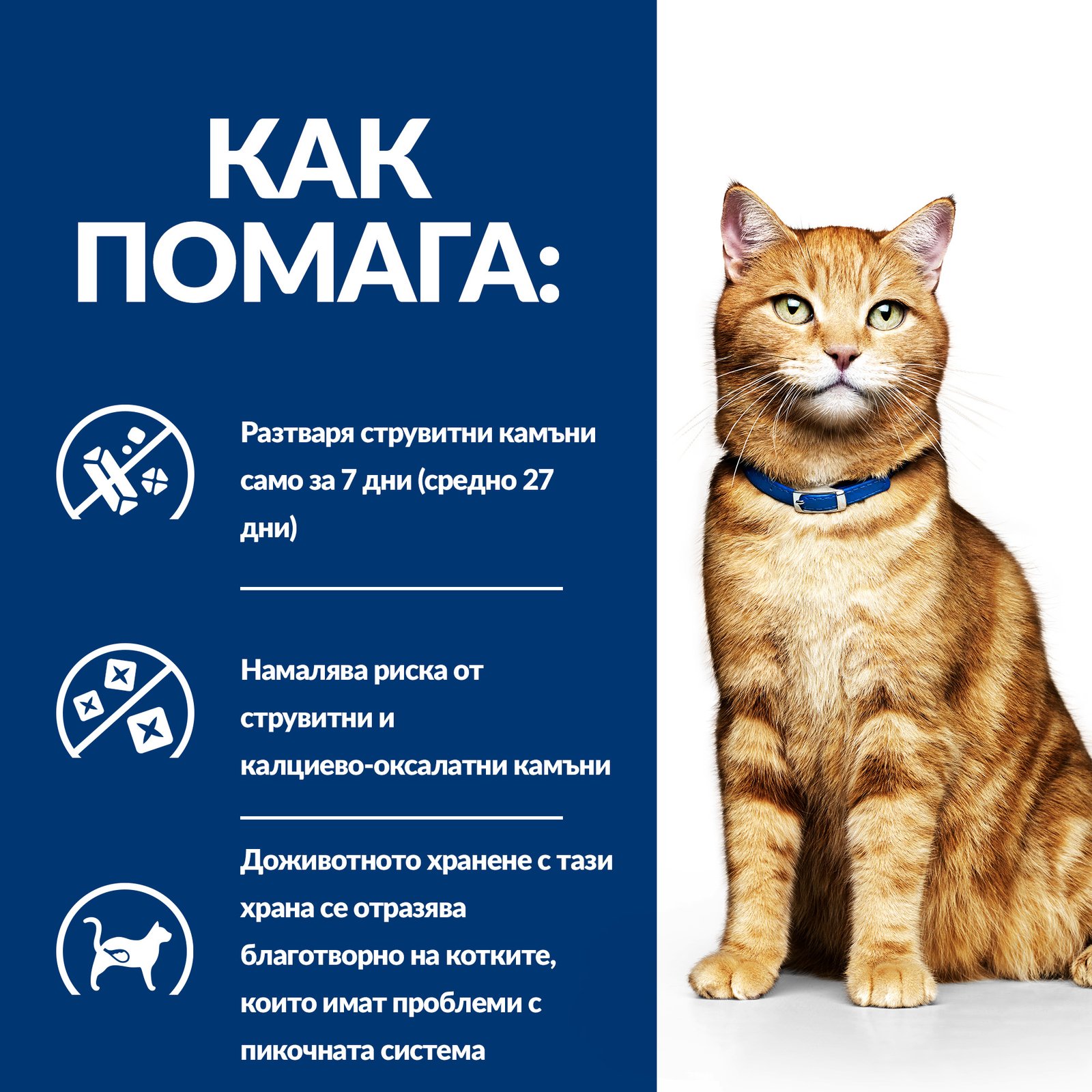 Prescription Diet c/d с пилешко – При струвитни, калциево-оксалатни и калциево-фосфатни уролити - Image 5