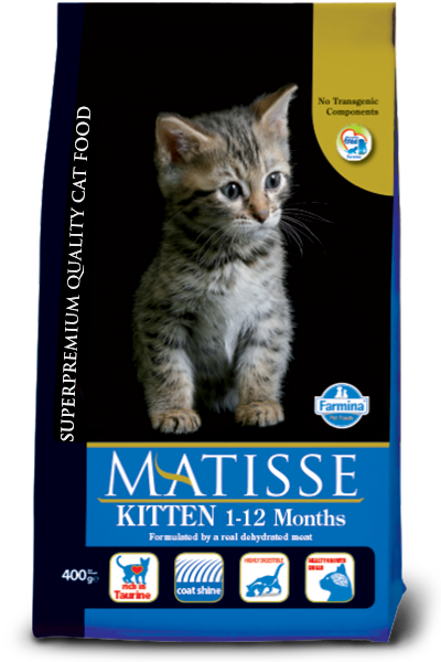154_52_matisse-kitten@web
