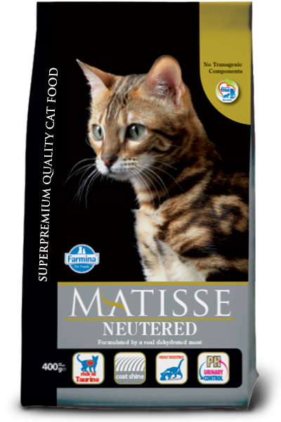 158_38_matisse-neutered@web