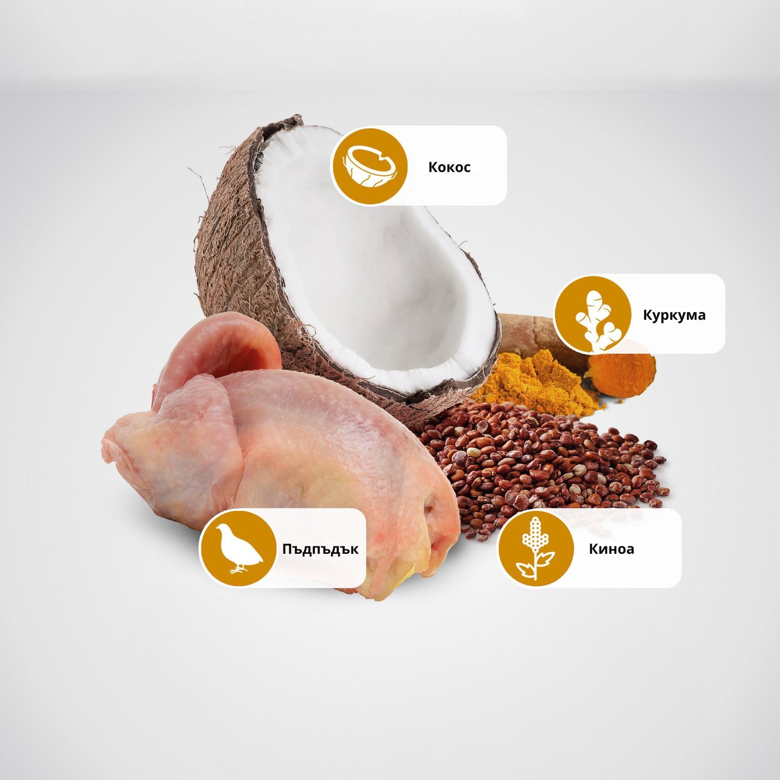 N&D Quinoa Skin & Coat with Quail for adult MINI dog – суха храна без зърнени култури за здрава кожа и козина, за кучета над 1 година от дребни породи, с пъдпъдък, киноа, кокос, и куркума - Image 4