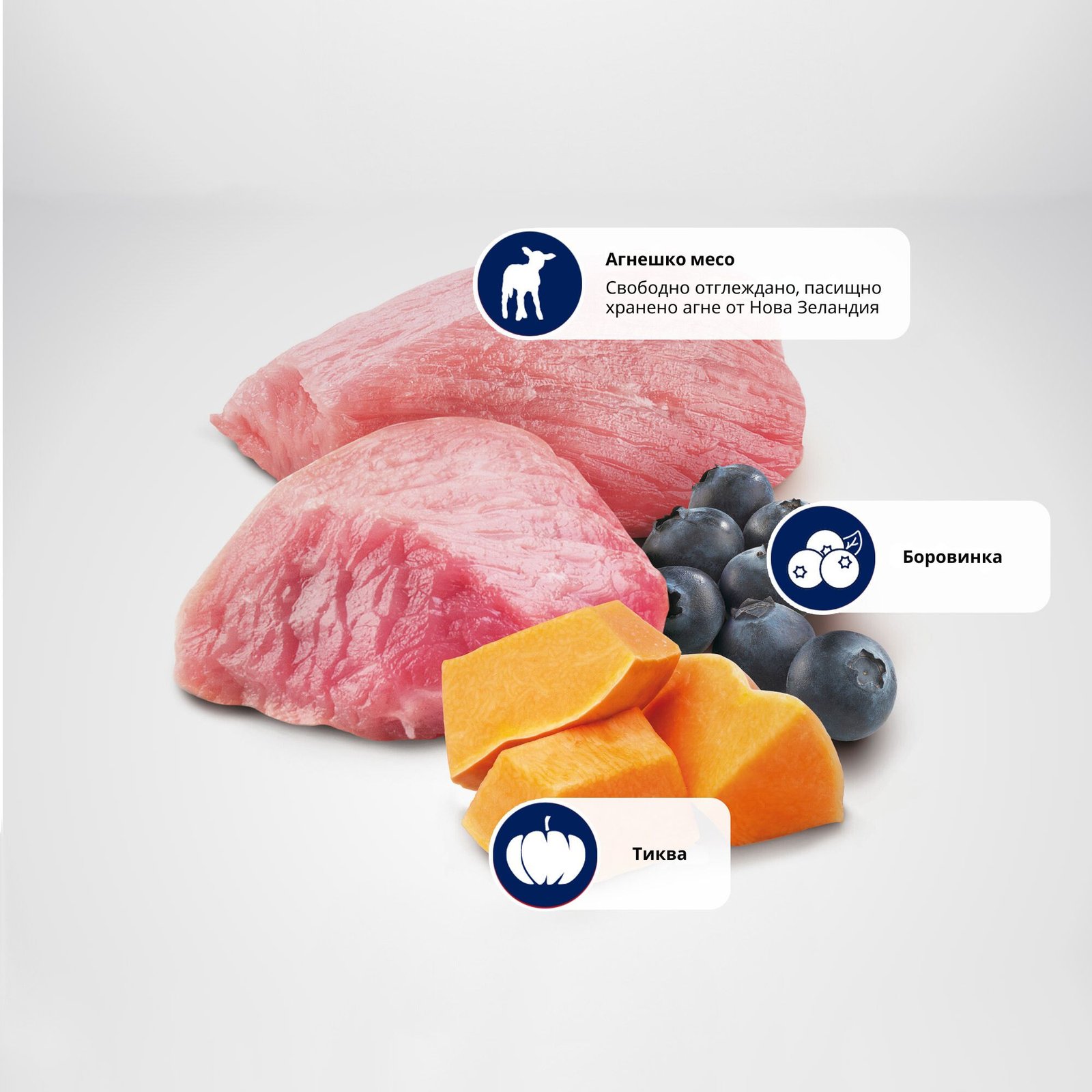 N&D Pumpkin Lamb & Blueberry Adult MINI – суха храна без зърнени култури за кучета над 1 година от дребни породи, с агнешко, тиква и боровинки - Image 4