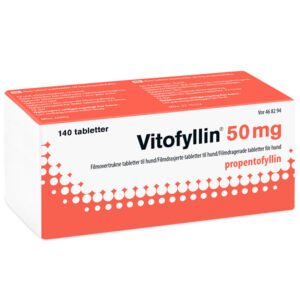 за възрастни кучета