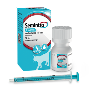 високо кръвно налягане и бъбречна недостатъчност при котки