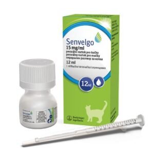 диабед при котка