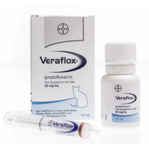 антибиотик за котка