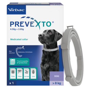 PREVEXTO® противопаразитна каишка за големи кучета над 8 кг.